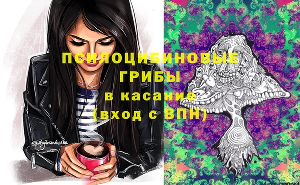 тгк Аркадак