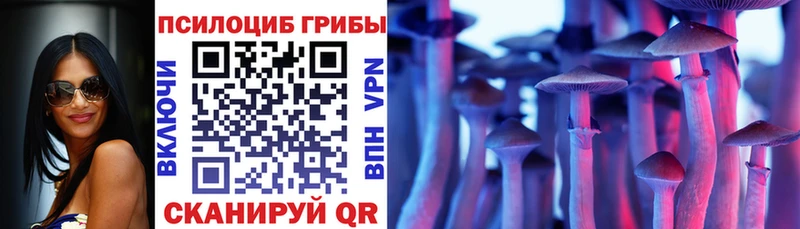 продажа наркотиков  OMG   Галлюциногенные грибы MAGIC MUSHROOMS  Екатеринбург 